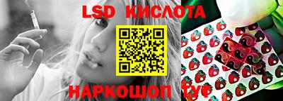 гашик Будённовск