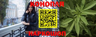 крисы Бузулук