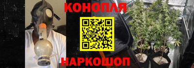 стаф Бугуруслан